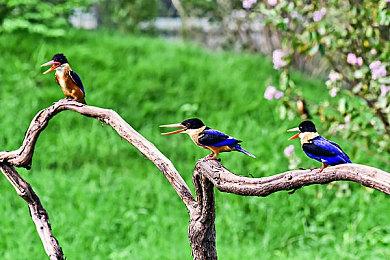 黑曜石正运用虚幻5开发新作 或为《天外世界2》