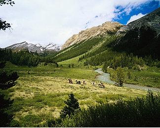 《城市：天际线2》新预告片介绍天气＆气候＆高峰时段